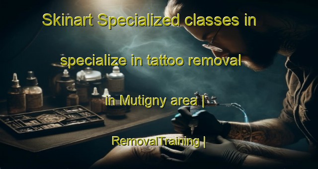 Skinart Specialized classes in specialize in tattoo removal in Mutigny area | RemovalTraining | RemovalClasses | SkinartTraining-France